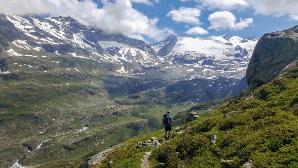 alpes suizos - gaulihutte