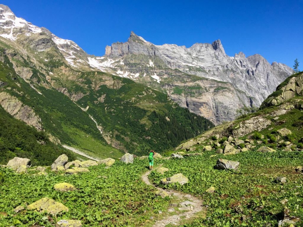 alpes suizos - gaulihutte